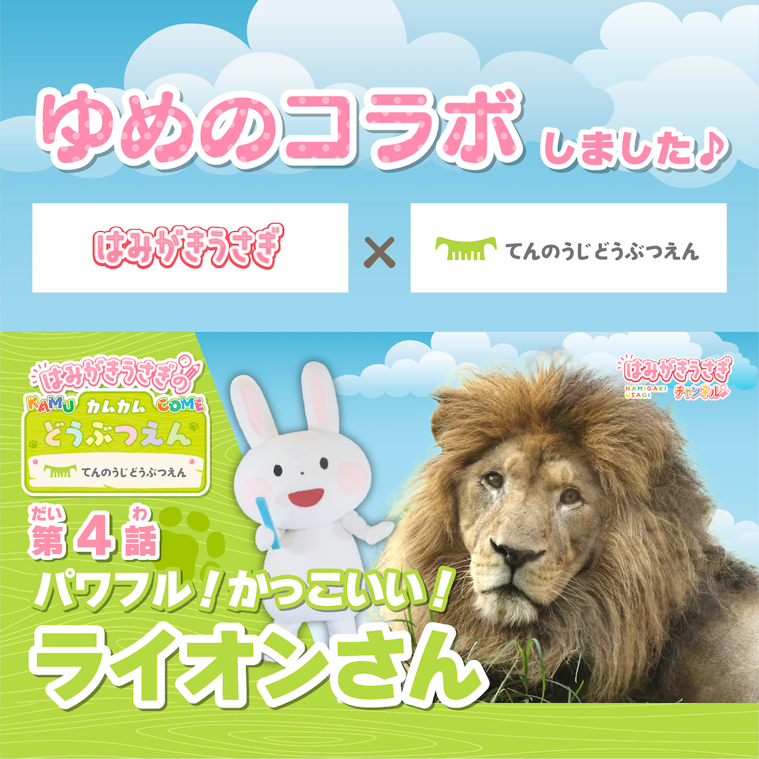 ToothToothTV 新着動画 『はみがきうさぎのカムカム動物園 〜天王寺動物園のなかまたち〜　ライオン編』