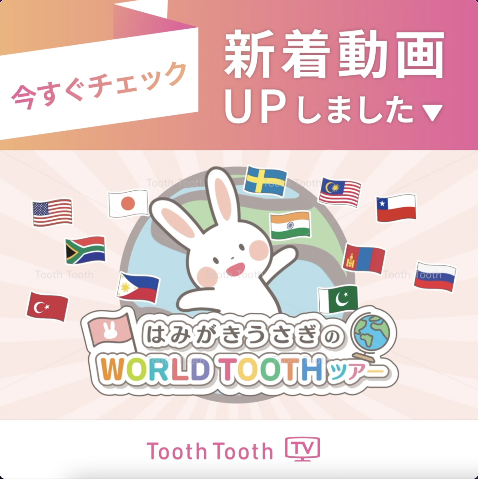 ToothToothTV 新着動画『はみがきうさぎのWORLD TOOTH ツアー 〜パキスタン編〜』