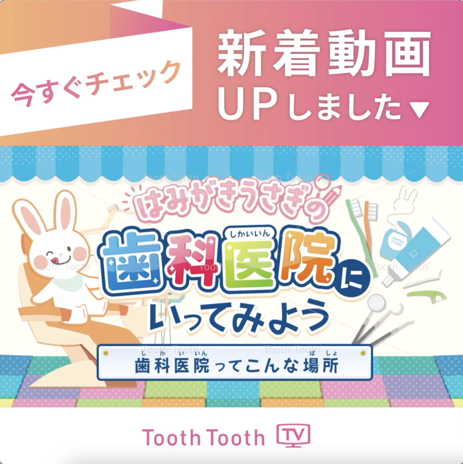 ToothToothTV #新着動画【はみがきたいそうのうた　天王寺動物園ver】