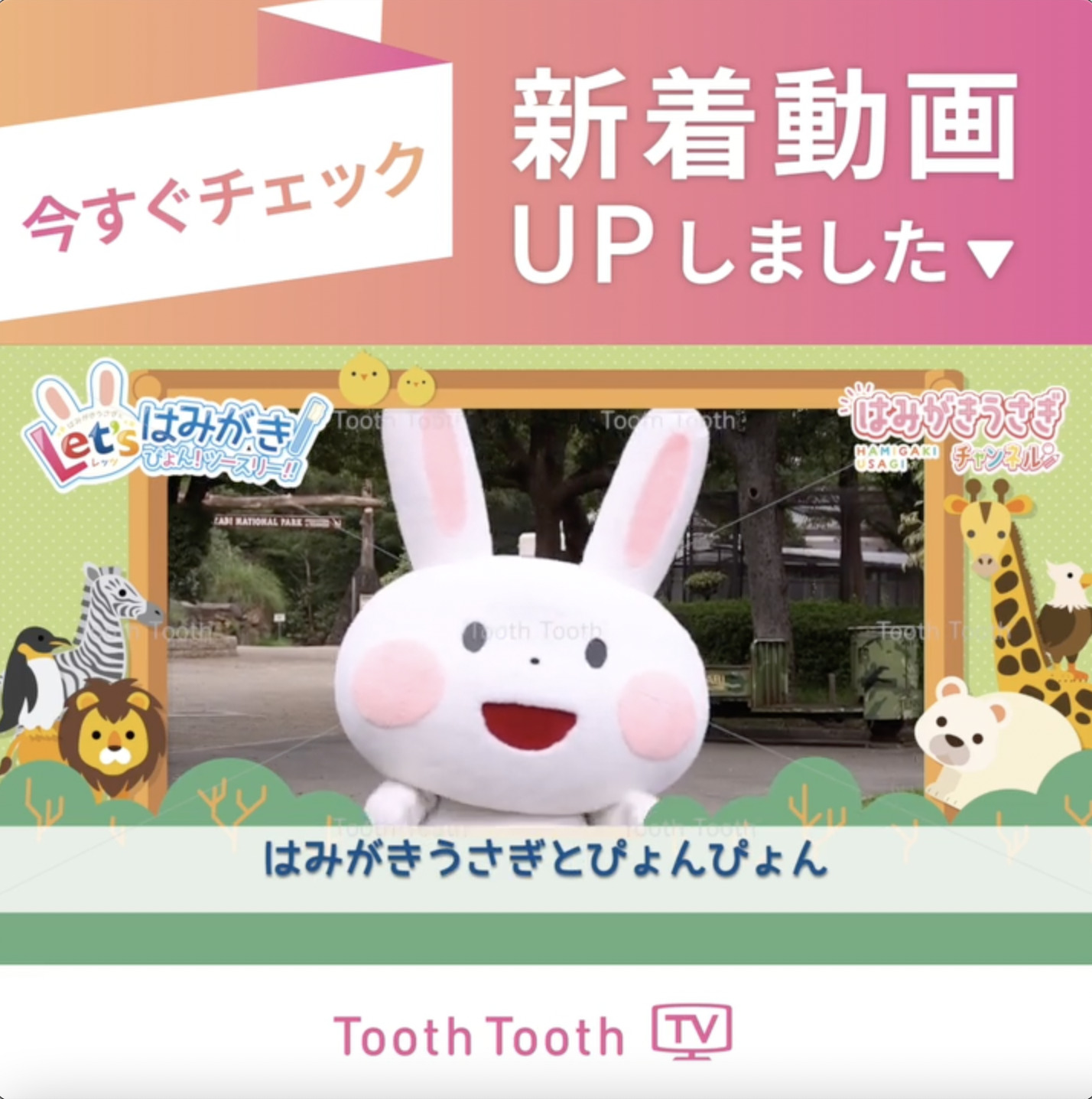 ToothToothTV 新着動画【Let's はみがきぴょん！ツースリー！天王寺動物園Ver】