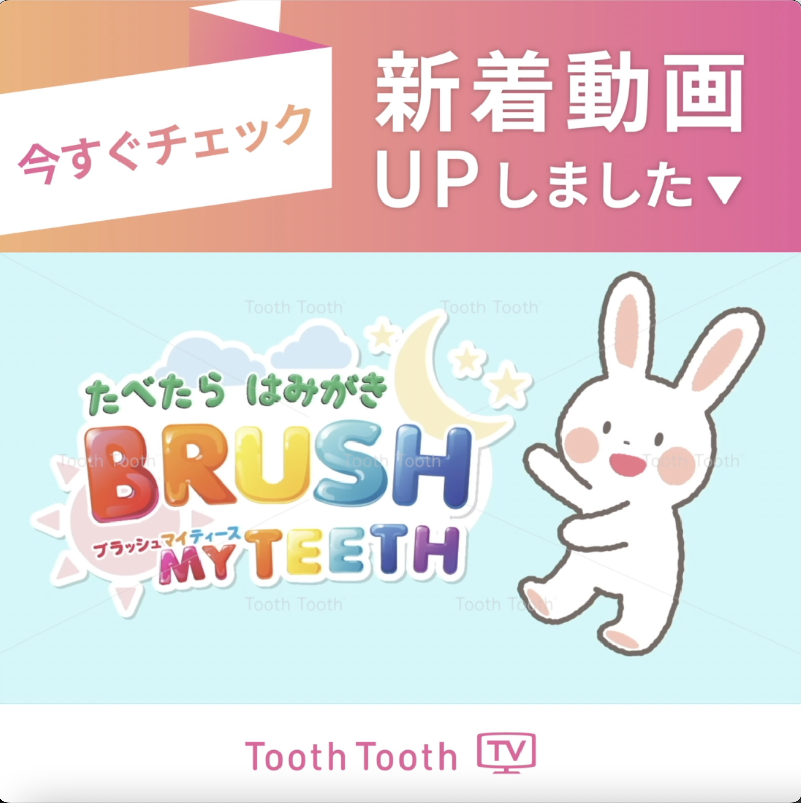 ToothToothTV #新着動画【Brush My Teeth（ブラッシュ マイ ティース）　天王寺動物園ver】