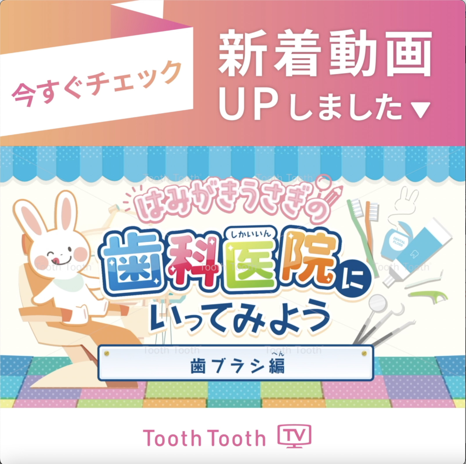 ToothToothTV  新着動画【はみがきうさぎの歯科医院にいってみよう　歯ブラシ編】