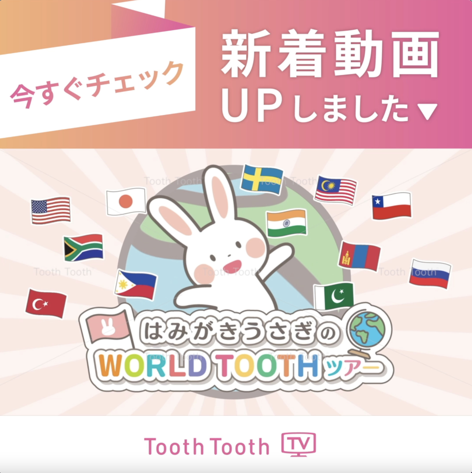 ToothToothTV 新着動画のお知らせ