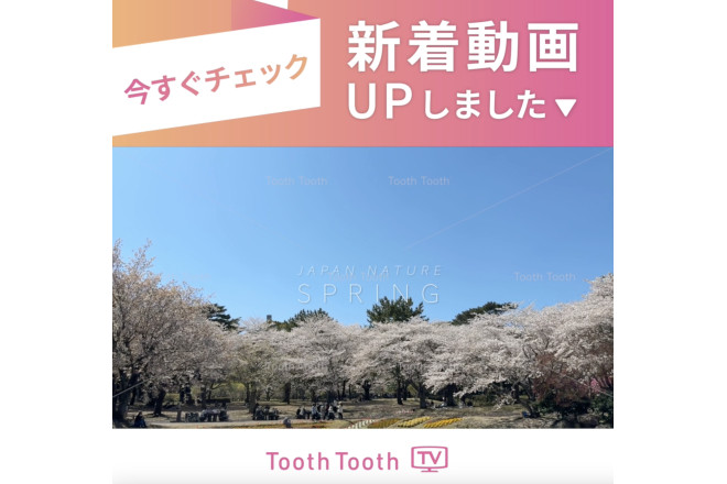 【新着動画のお知らせ✏️】自然風景シリーズ「春」